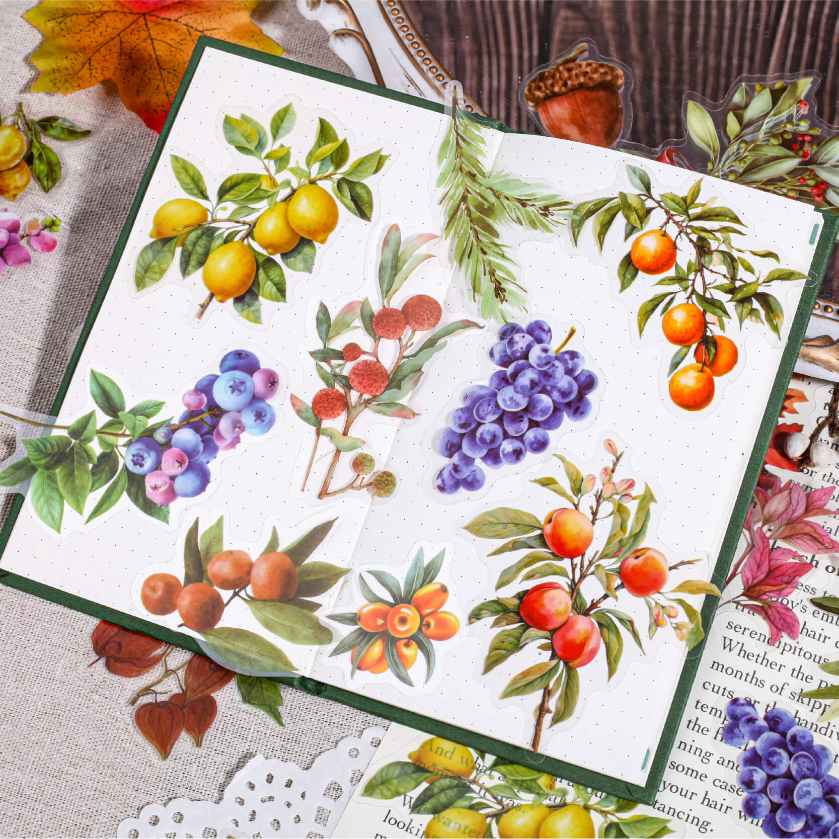 Autumn Fruit Stickers | 20 PCS