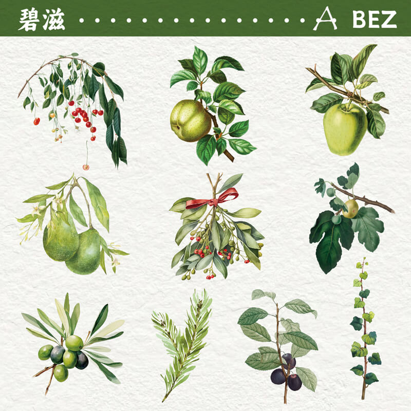 Autumn Fruit Stickers | 20 PCS