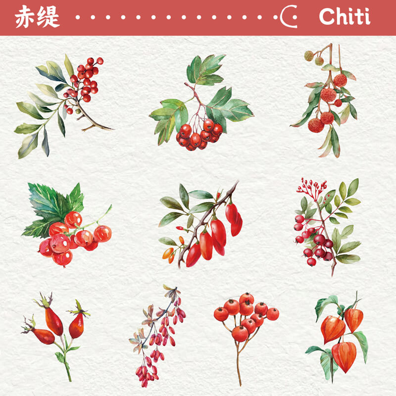 Autumn Fruit Stickers | 20 PCS