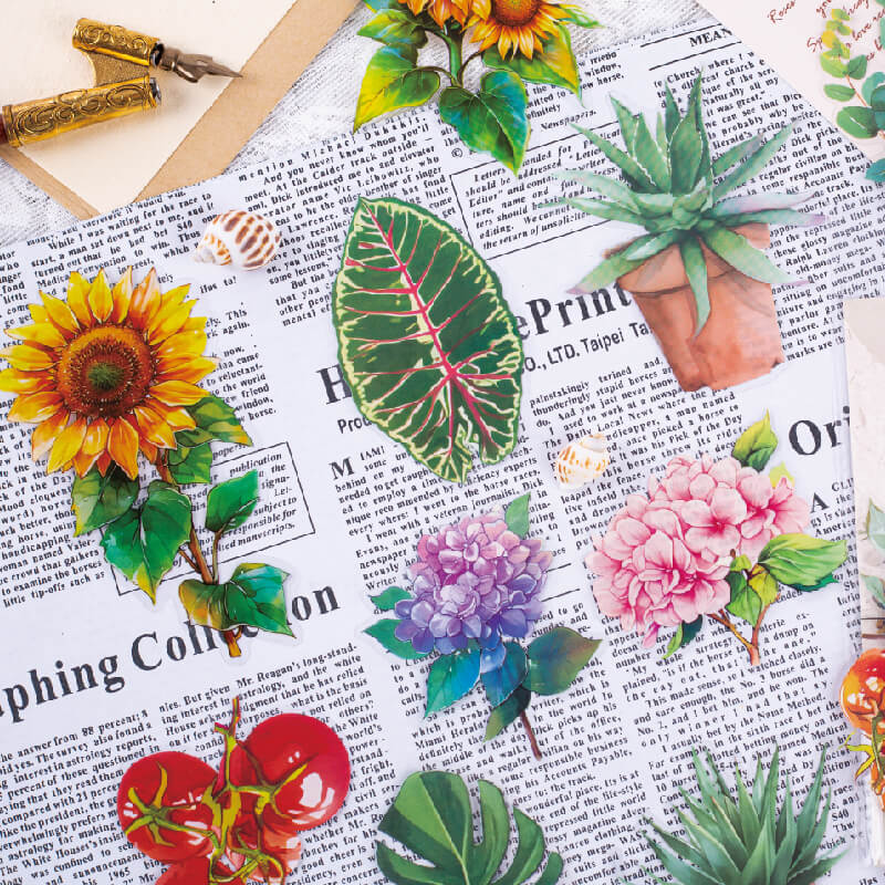 Summer Rainforest Stickers | 30 PCS