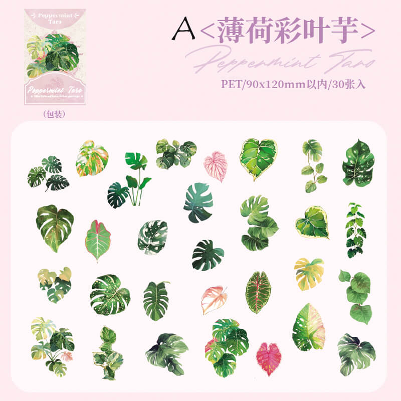 Summer Rainforest Stickers | 30 PCS