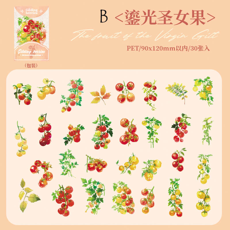 Summer Rainforest Stickers | 30 PCS